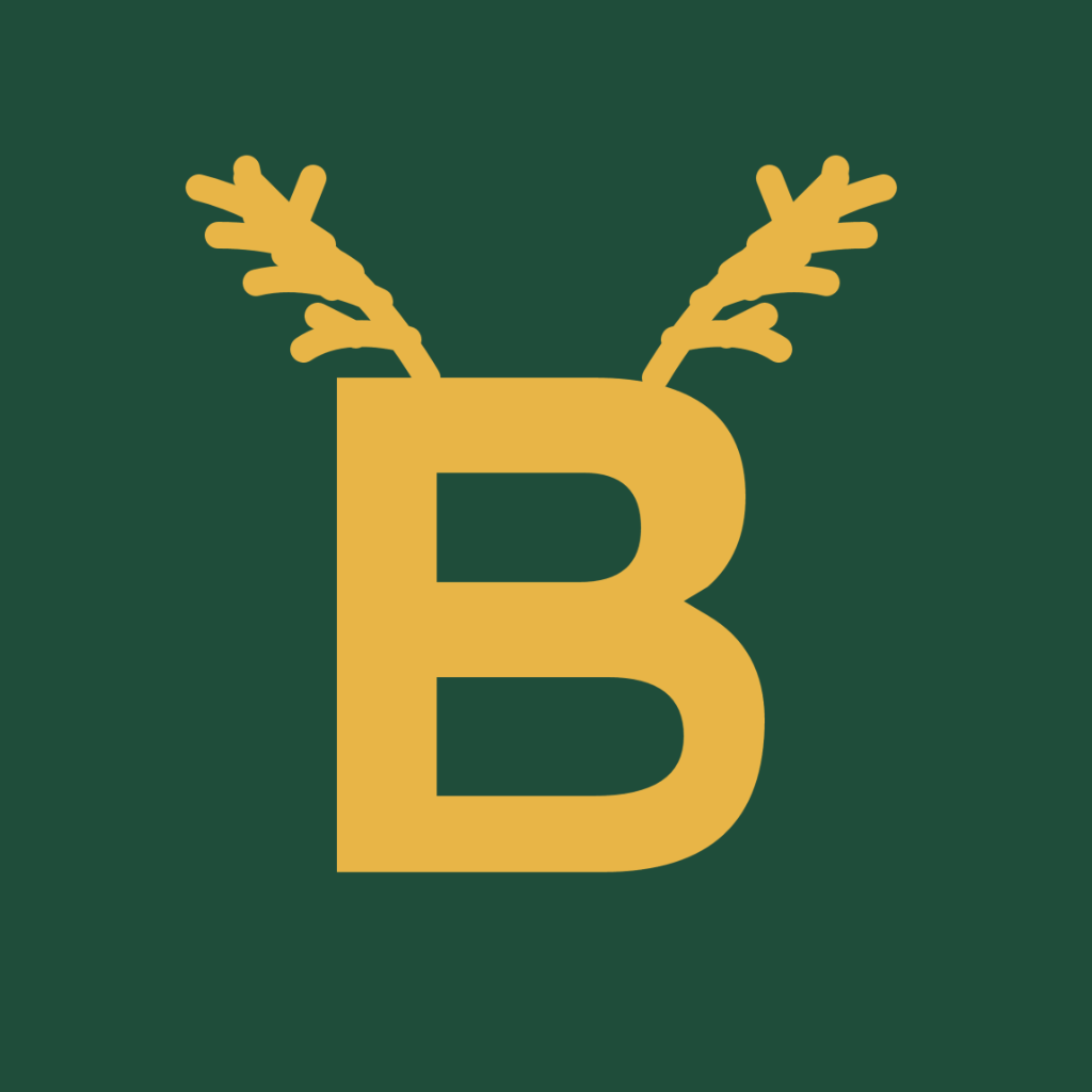 Buckwise icon